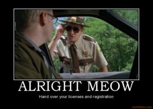 Super Troopers Meow